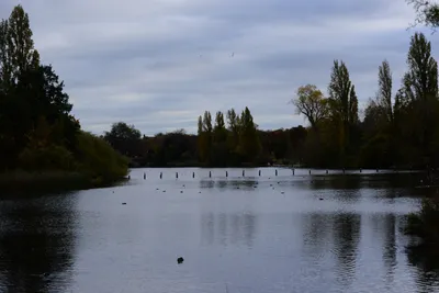 DSC_0555 (Large).JPG